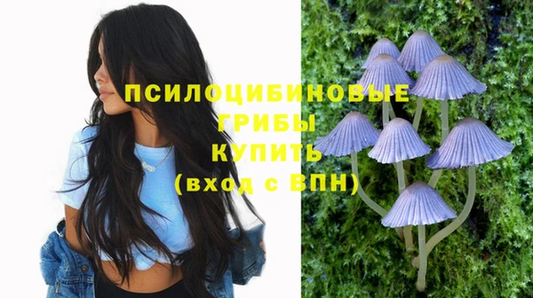 стаф Семилуки