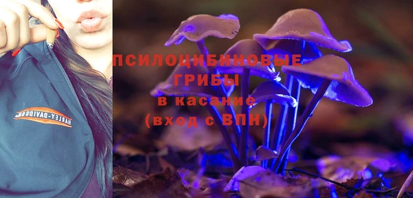 стаф Семилуки